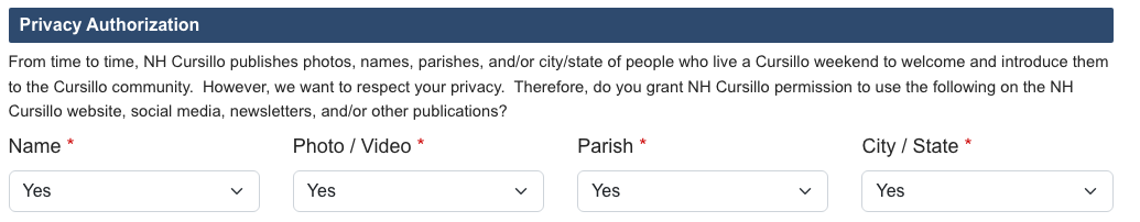 Privacy authorization checkboxes